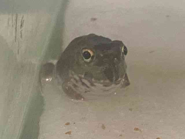 ̑iJGnj
