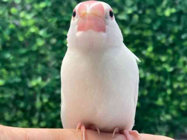 u`E