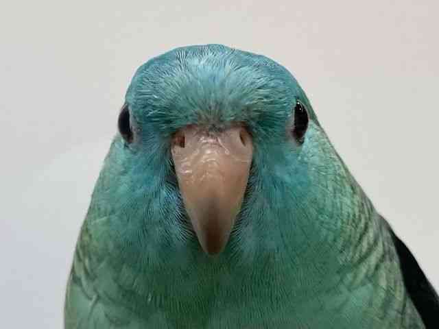 TUi~CR