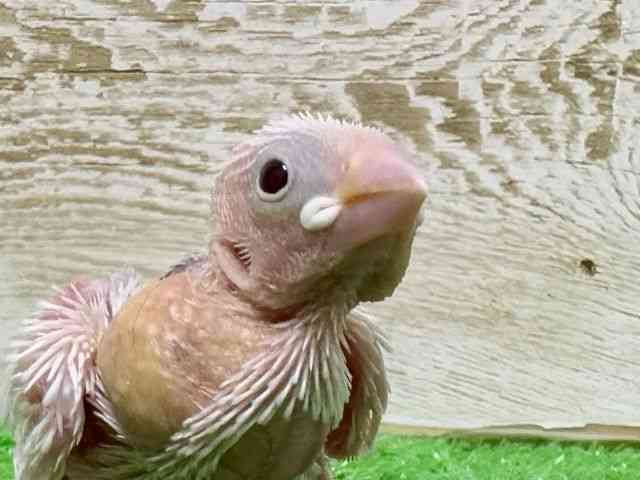 u`E