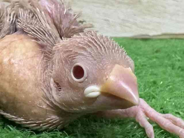 u`E