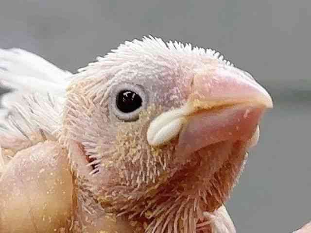 u`E