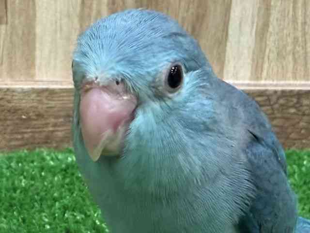 }n