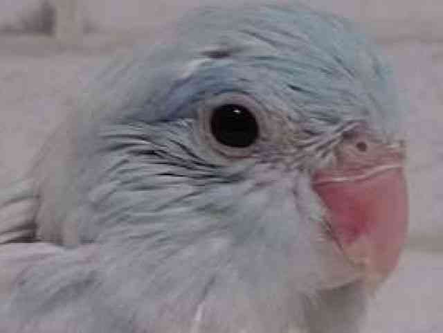 }n