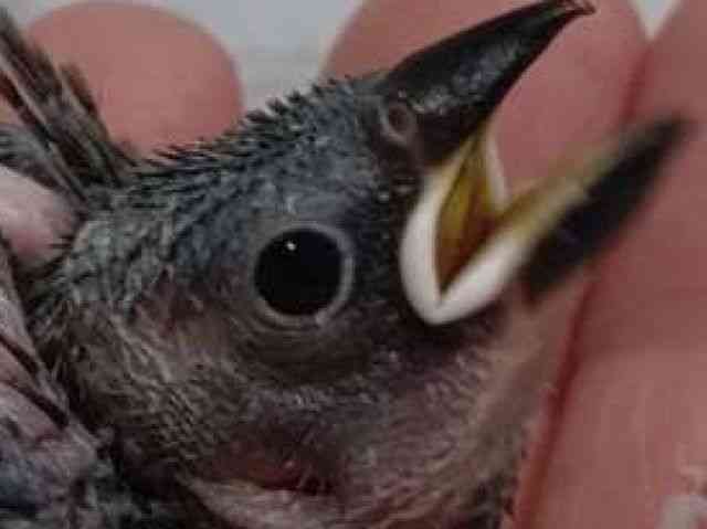 u`E