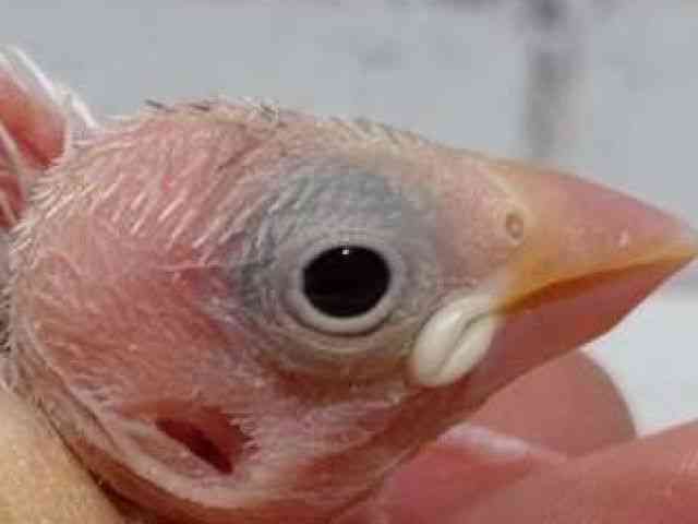 u`E