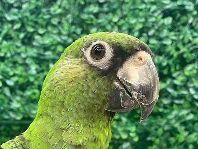 ̑iCREIEnj