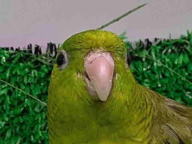 TUi~CR
