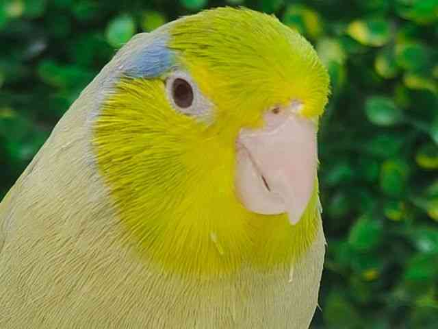 }n