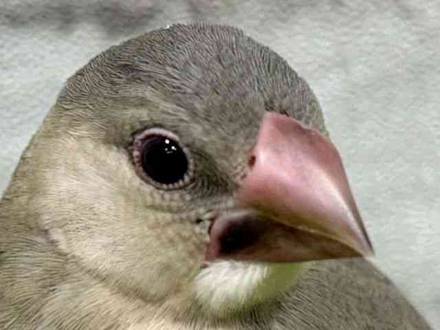 u`E