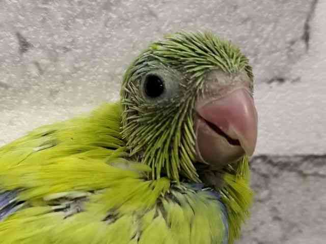 }n