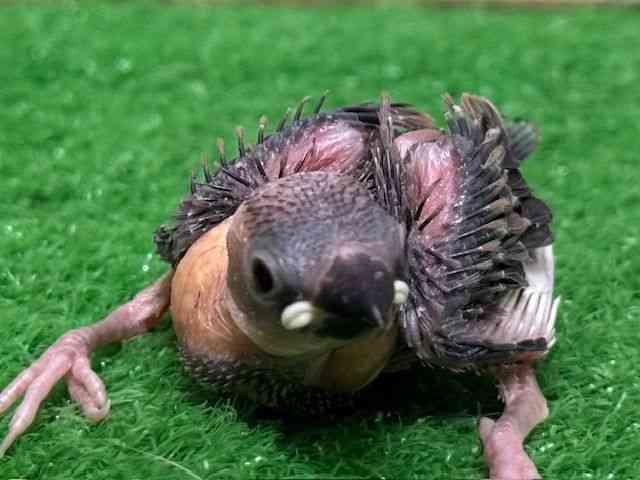u`E