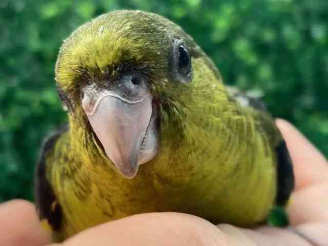 TUi~CR