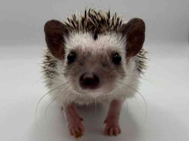 nlY~^sO~[wbWzbO