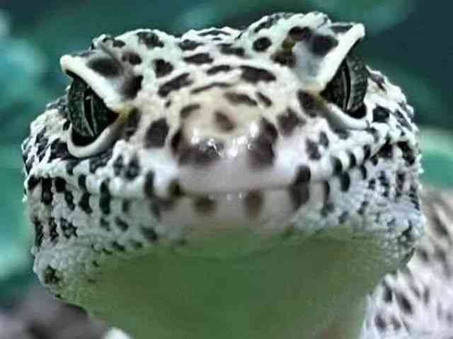 qEgJQhL
