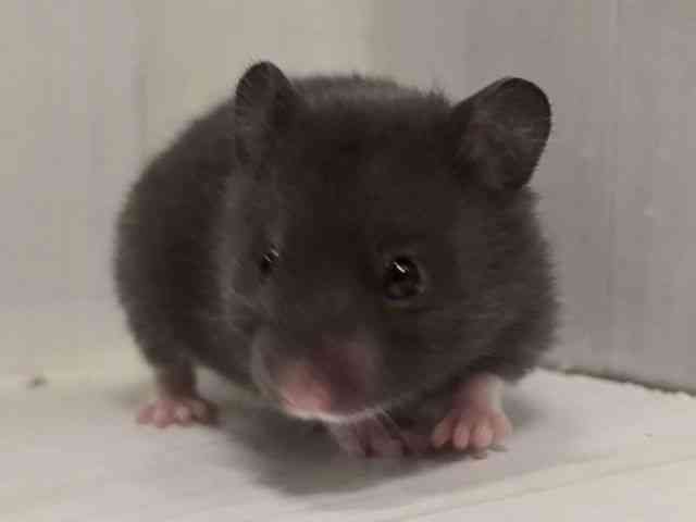 J[