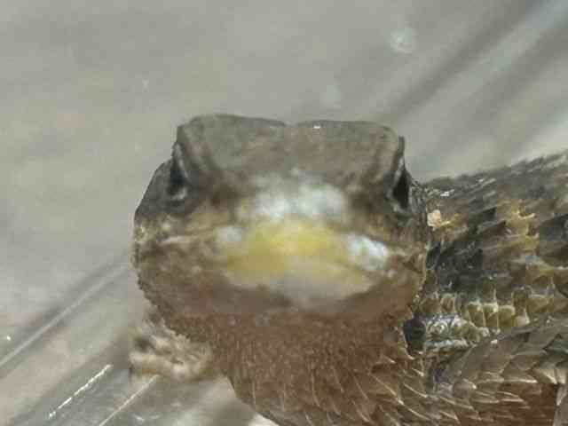 ̑igJQnj