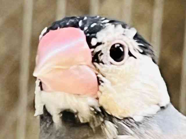 u`E