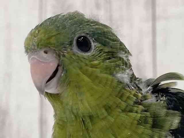 TUi~CR