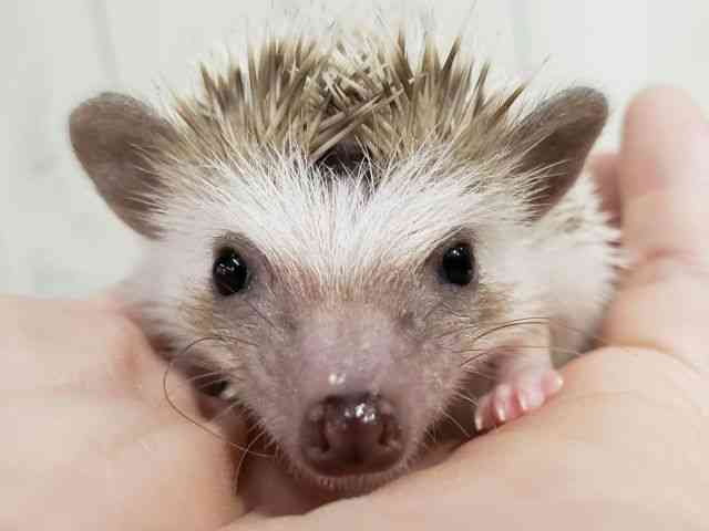 nlY~^sO~[wbWzbO