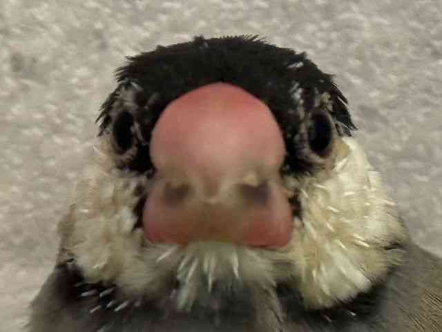 u`E