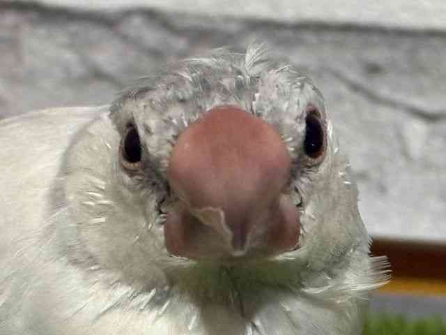 u`E
