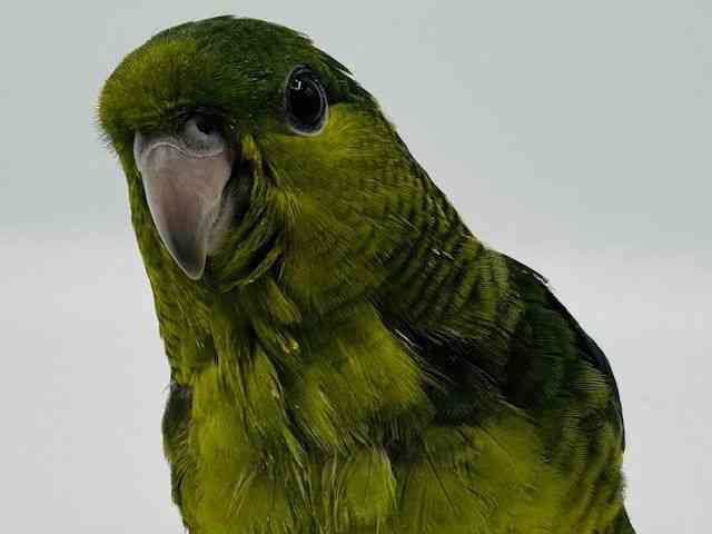 TUi~CR