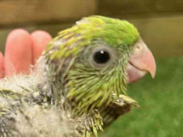 TUi~CR