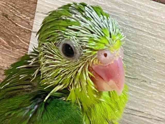 }n