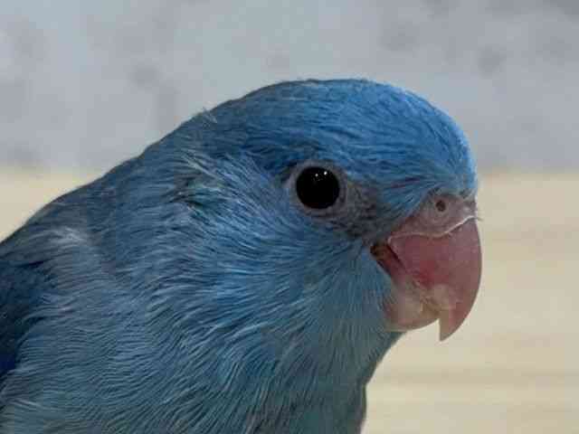 }n