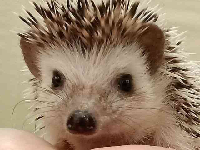 nlY~^sO~[wbWzbO