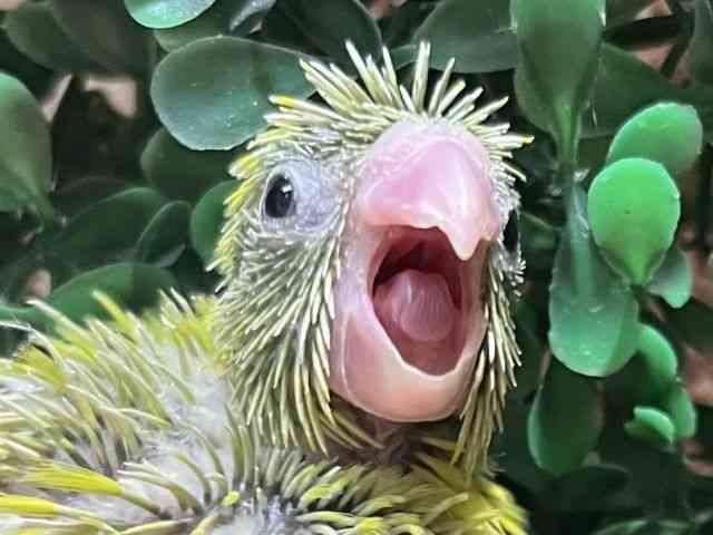 }n