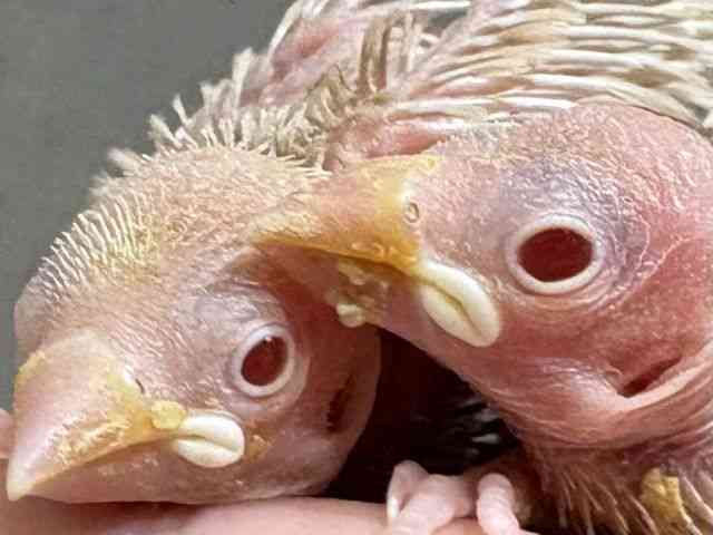 u`E