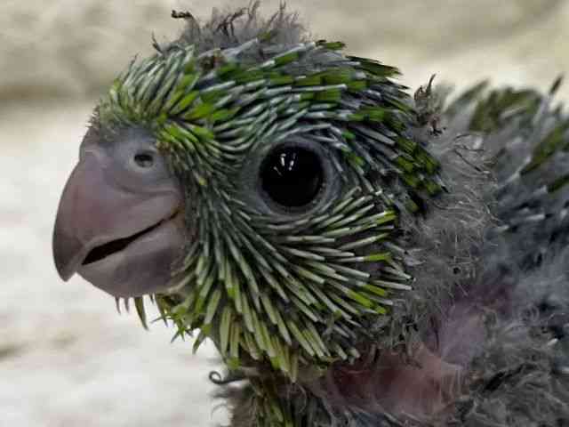 TUi~CR
