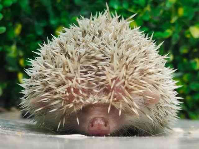 nlY~^sO~[wbWzbO