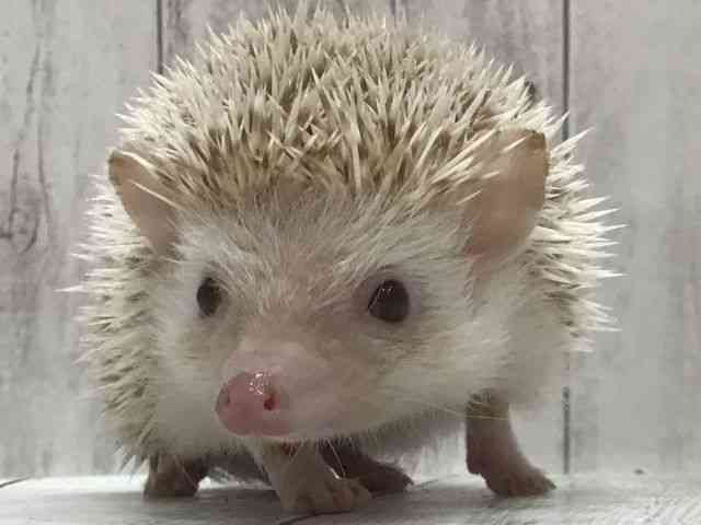 nlY~^sO~[wbWzbO