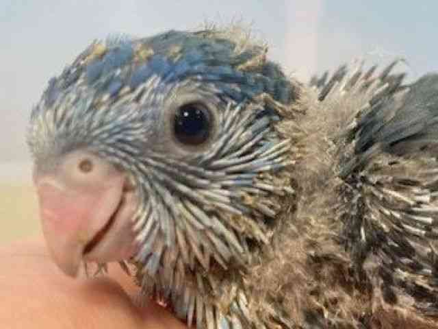 TUi~CR