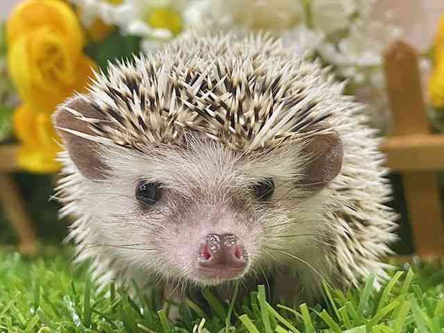 nlY~^sO~[wbWzbO