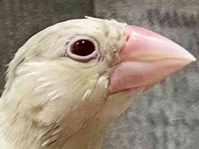 u`E
