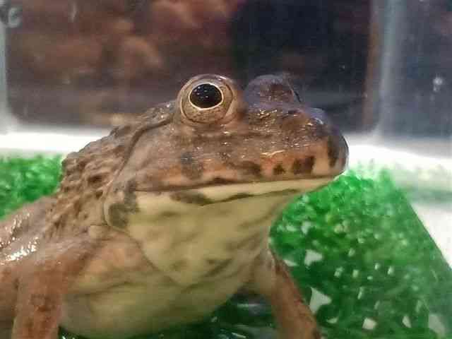 ̑iJGnj