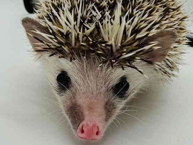 nlY~^sO~[wbWzbO