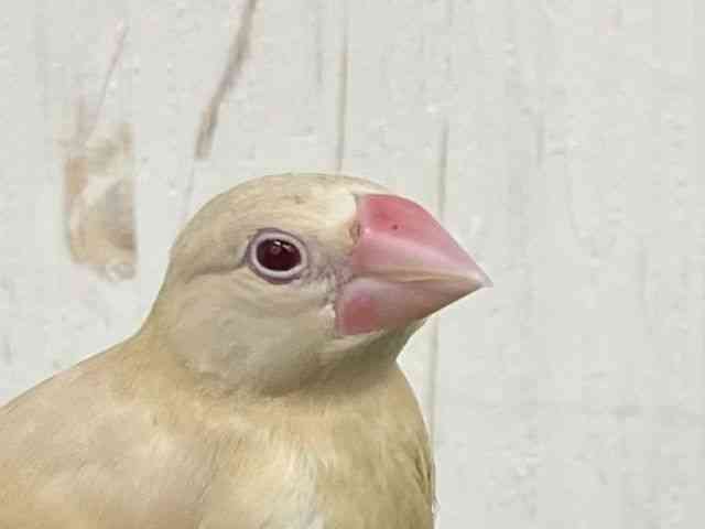 u`E