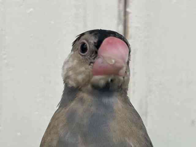 u`E