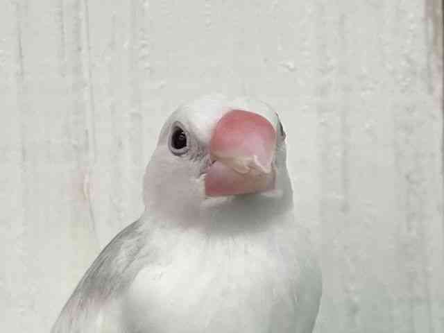 u`E