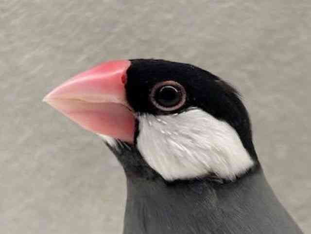u`E