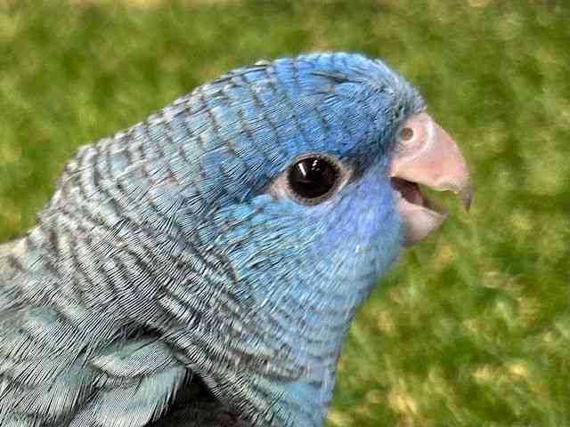 TUi~CR