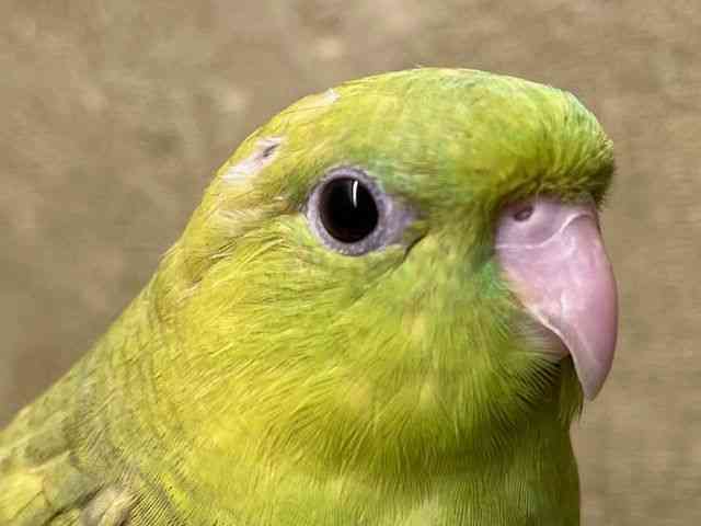 TUi~CR