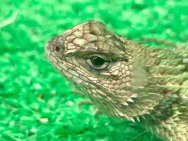 ̑igJQnj