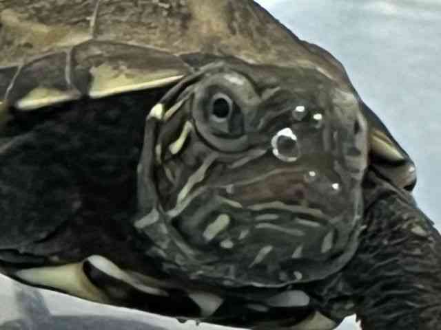 [jK