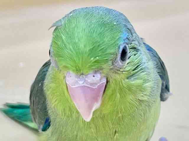 }n